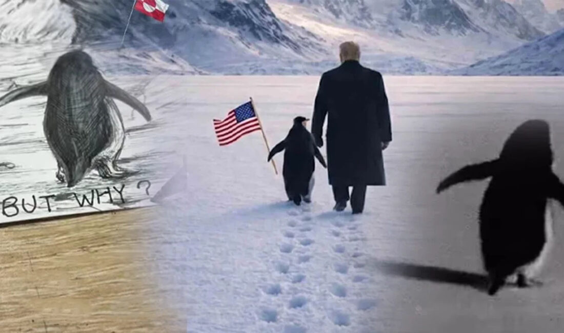 Werner Herzog’un belgeselindeki “Nihilist Penguen” sahnesi, Tame Impala ve Radiohead