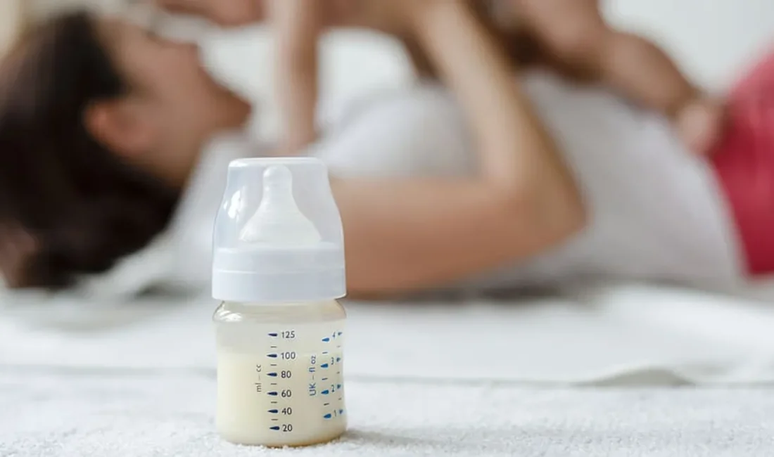 Fransa’daki ölümlerin ardından Türkiye’de de toplatılan bebek mamaları için uzmanlardan