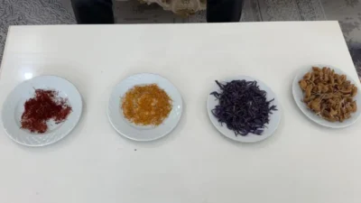 Hakkari Yüksekova'da çiftçi Kerim Erişmiş, "bu iklimde yetişmez" denilen safran