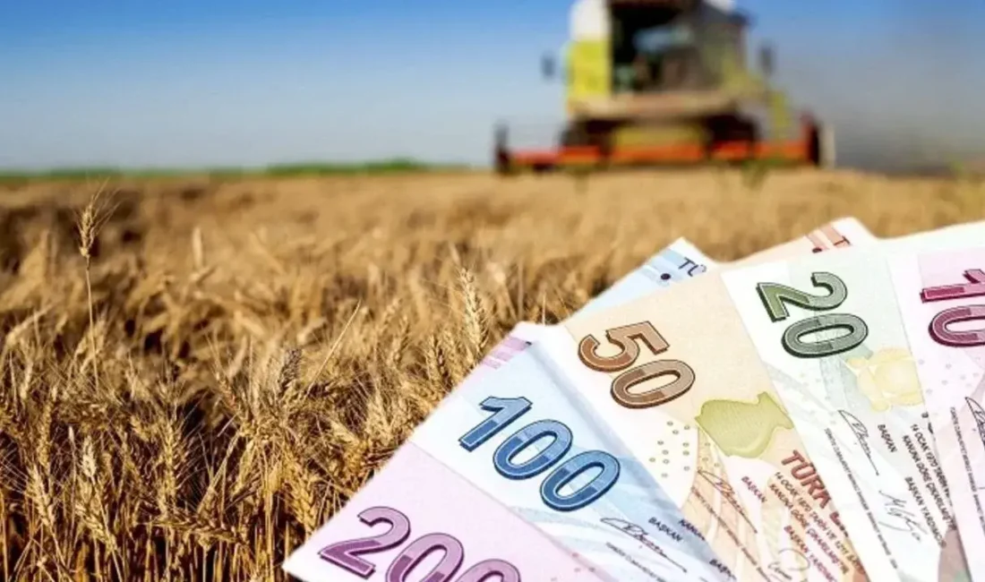 Kamu bankalarından esnaf ve çiftçiye dev destek: Yüksek faizli borçlar