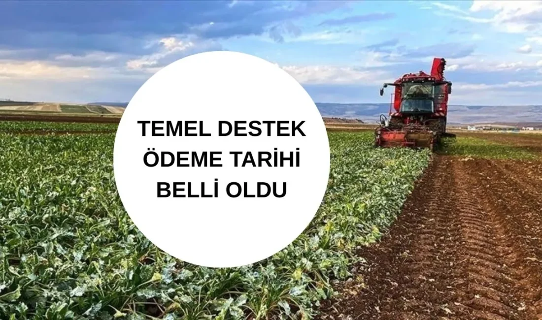 Tarım ve Orman Bakanlığı duyurdu: Milyonlarca çiftçinin beklediği mazot ve