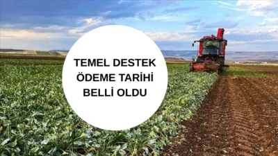 Tarım ve Orman Bakanlığı duyurdu: Milyonlarca çiftçinin beklediği mazot ve