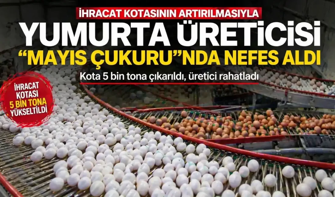 Türkiye’de yumurta üreticileri, talebin zayıfladığı ve fiyatların baskılandığı “mayıs çukuru”