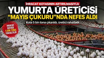 Türkiye’de yumurta üreticileri, talebin zayıfladığı ve fiyatların baskılandığı “mayıs çukuru”