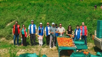 Gençlik ve Spor Bakanlığı, gençlerin tarımsal üretim süreçlerine katılımını artırmayı