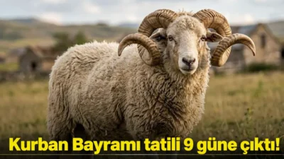 2026 Kurban Bayramı tatili kamu çalışanları için 9 gün olacak.