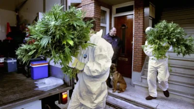 İskoçya'nın Glasgow kentinde polis ekiplerinin düzenlediği operasyonda yaklaşık 174 bin