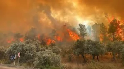 Yaz mevsimiyle birlikte artan sıcaklıklar ve kurak hava koşulları nedeniyle
