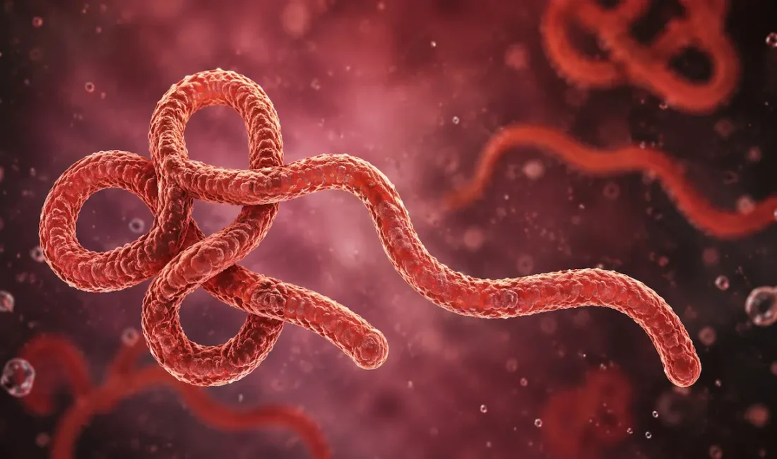 Kongo Demokratik Cumhuriyeti'nde etkisini sürdüren Ebola salgınında doğrulanan vaka sayısı