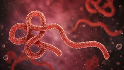 Kongo Demokratik Cumhuriyeti'nde etkisini sürdüren Ebola salgınında doğrulanan vaka sayısı