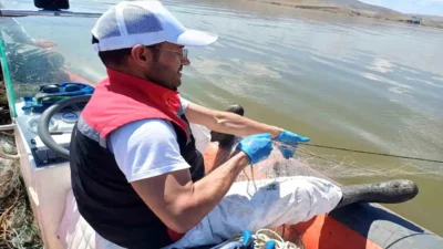 Çorum'da su ürünleri kaynaklarının korunması ve kaçak avcılığın önlenmesine yönelik